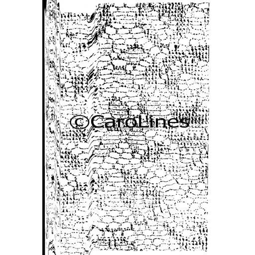 Lace Background C75 © CaroLines (cut out and mounted on cling cushioning)