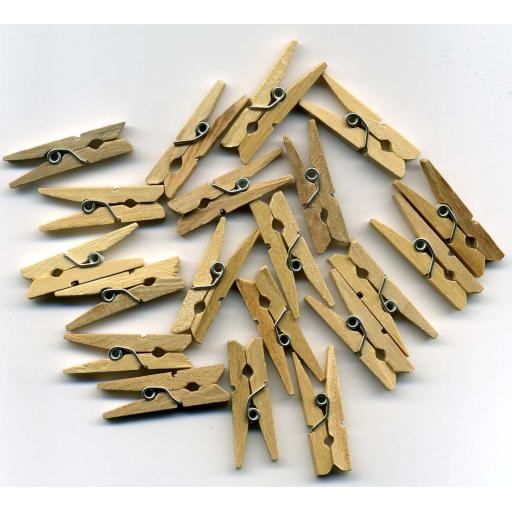 Mini Pegs x 20