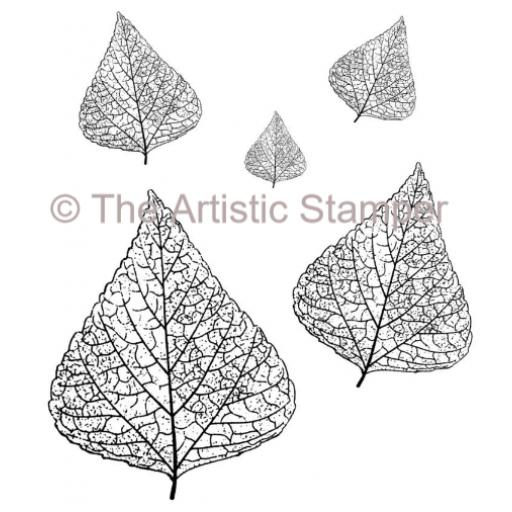 Skeleton Leaves x 5 ( cut out and mounted on Cling Foam)