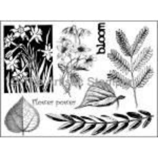 botanical-2-a5-cut-out-and-mounted-on-cling-cushioning-285-p.png