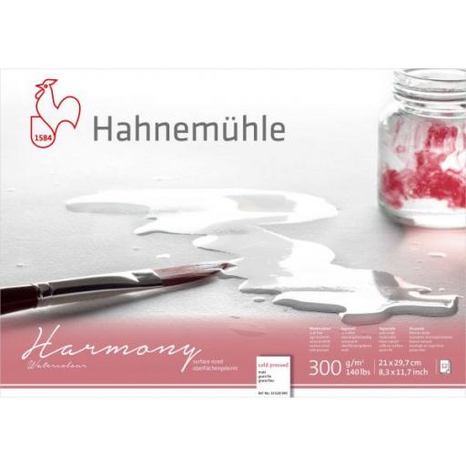 Hahnemuhle -Harmony Watercolour 300gsm Cold Pressed Block A4 x 12 Sheets