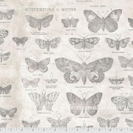 Tim Holtz® - Monochrome - Butterflies Parchment