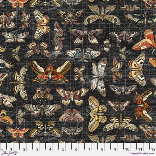 Tim Holtz Palette  Halloween - Moth Study