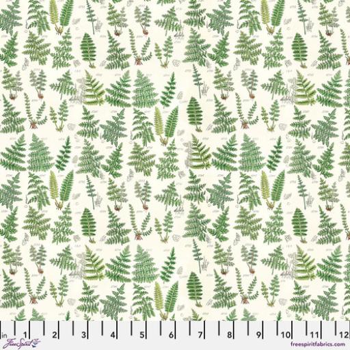 Tim Holtz Palette  Green - Ferns