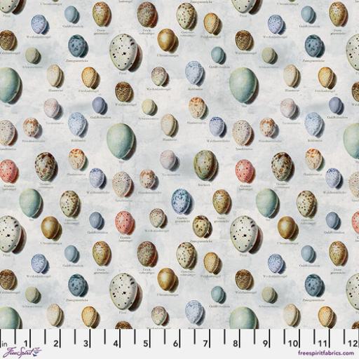 Tim Holtz Palette Blue- Blue Eggs  PRE ORDER