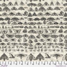 PWTH315.CHARCOAL__17307 MOTHS.jpg