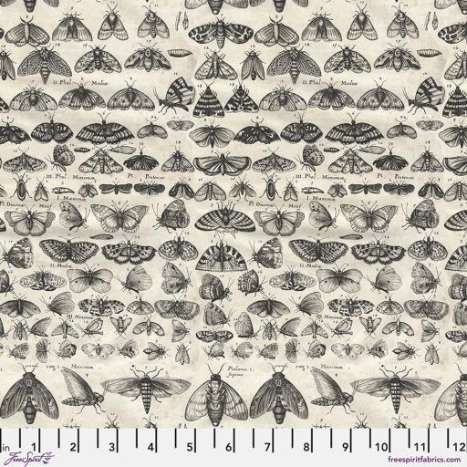 Tim Holtz Palette Charcoal - Charcoal Moths